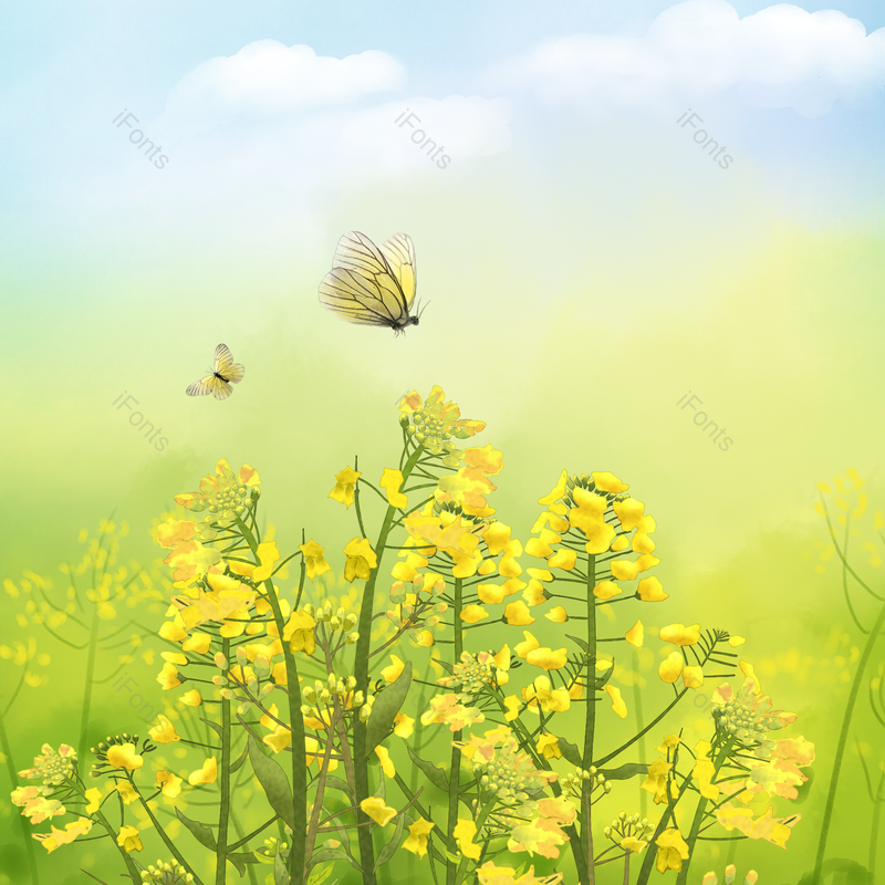 插画图片,素材元素,花朵PNG,鲜花免抠素材